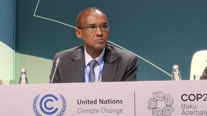 CHANGEMENT CLIMATIQUE/ COP 29 : La désillusion pour l'Afrique